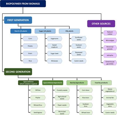 Agroindustrial Byproducts for the Generation of Biobased Products: Alternatives for Sustainable Biorefineries